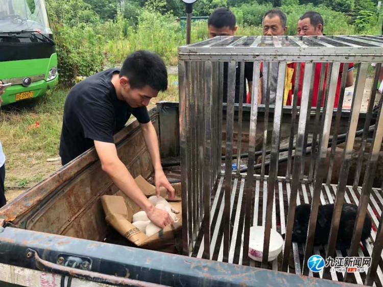 九江这个小区流浪狗“扰”民，警民联合送其回“家”