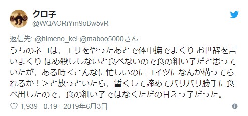 它突然食欲减退铲屎官带去宠物医院检查后令人哭笑不得