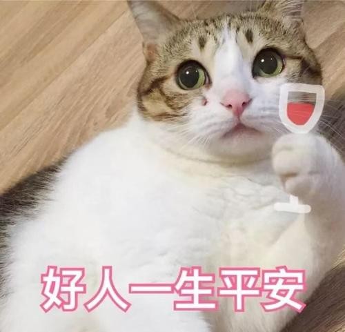 宠物猫泪痕怎么去除？