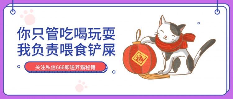 在家里装了摄像头后，我才发现我家猫每天都在等我回家